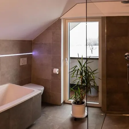 Bodenseedomizil Apartment Lochau
